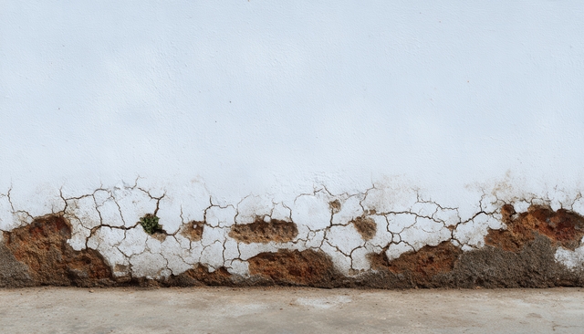 Vochtbestrijding muur